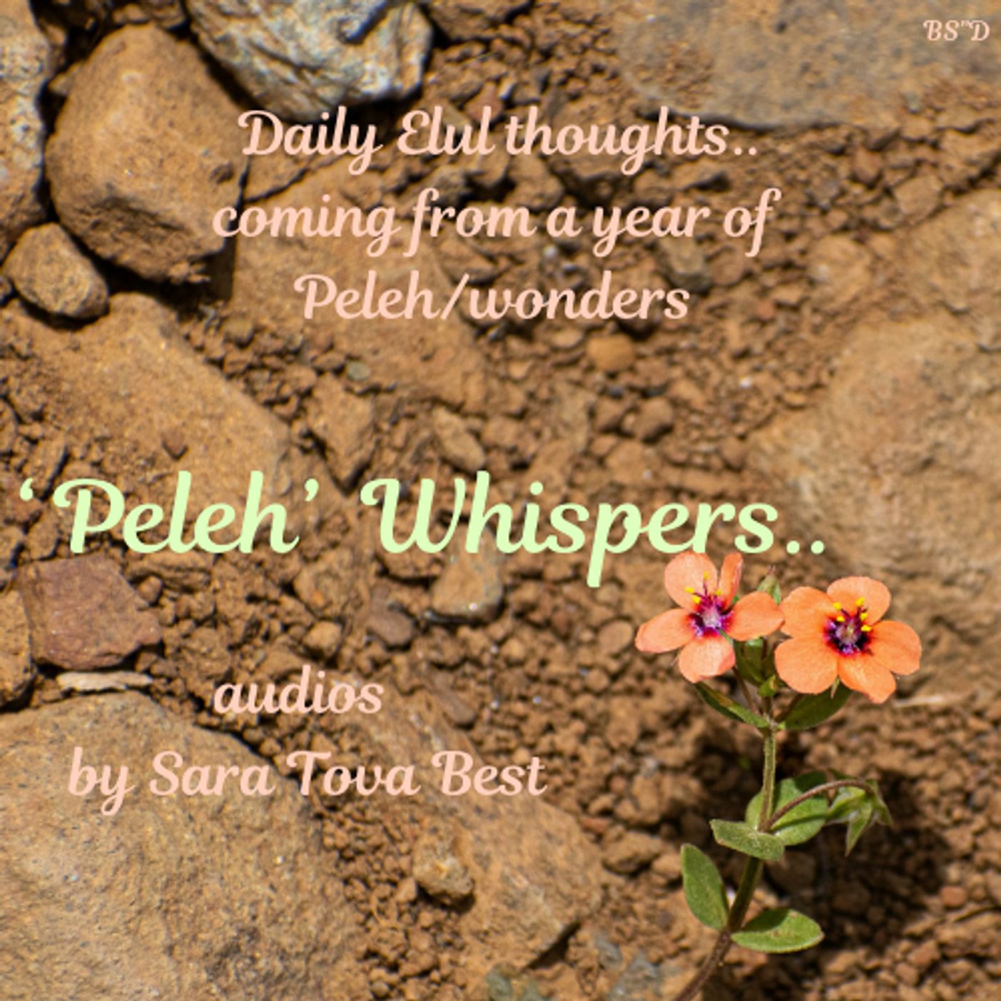 Episode Cover