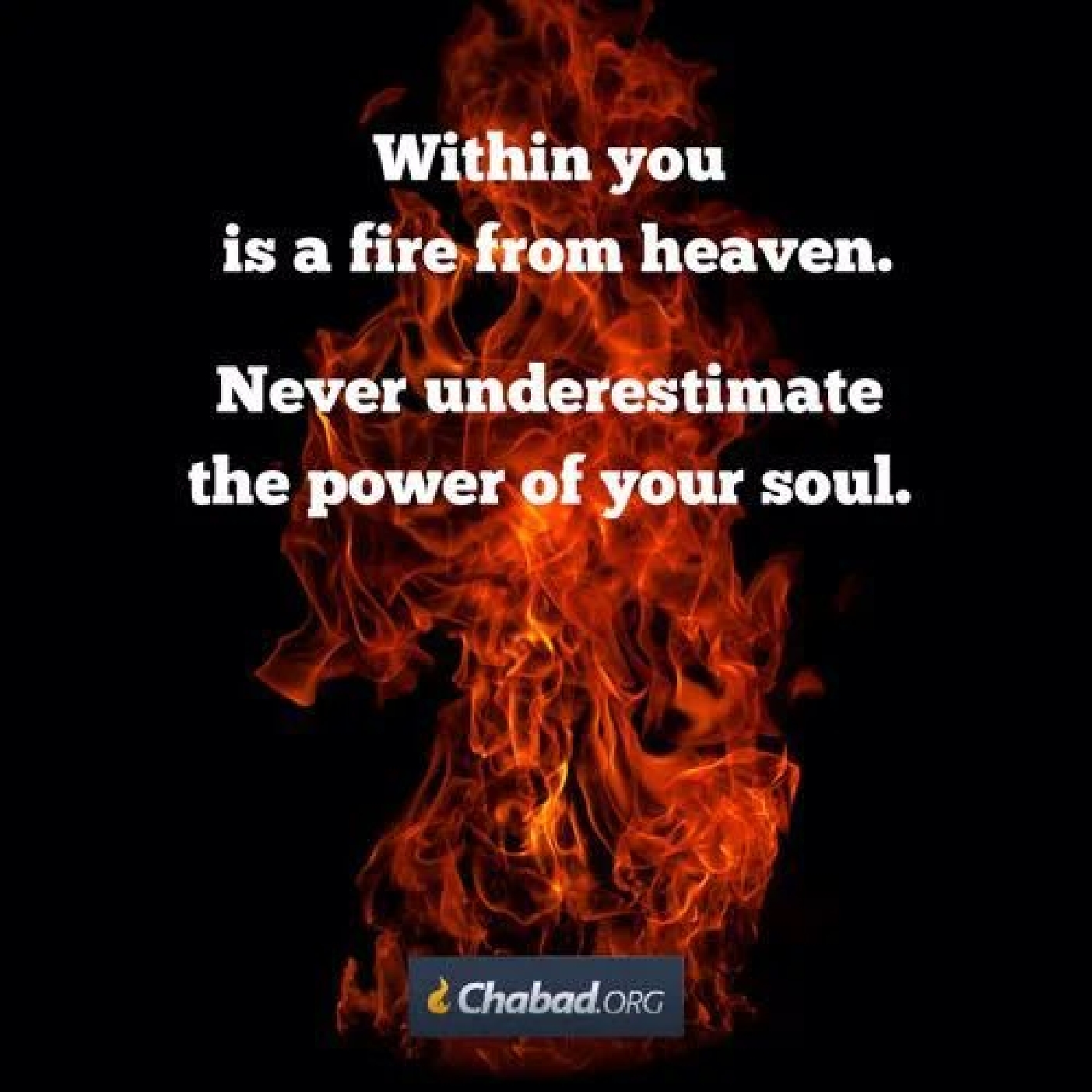Mesilat Yesharim Ch. 19●1  / HOW TO be a REAL CHASID? episode artwork