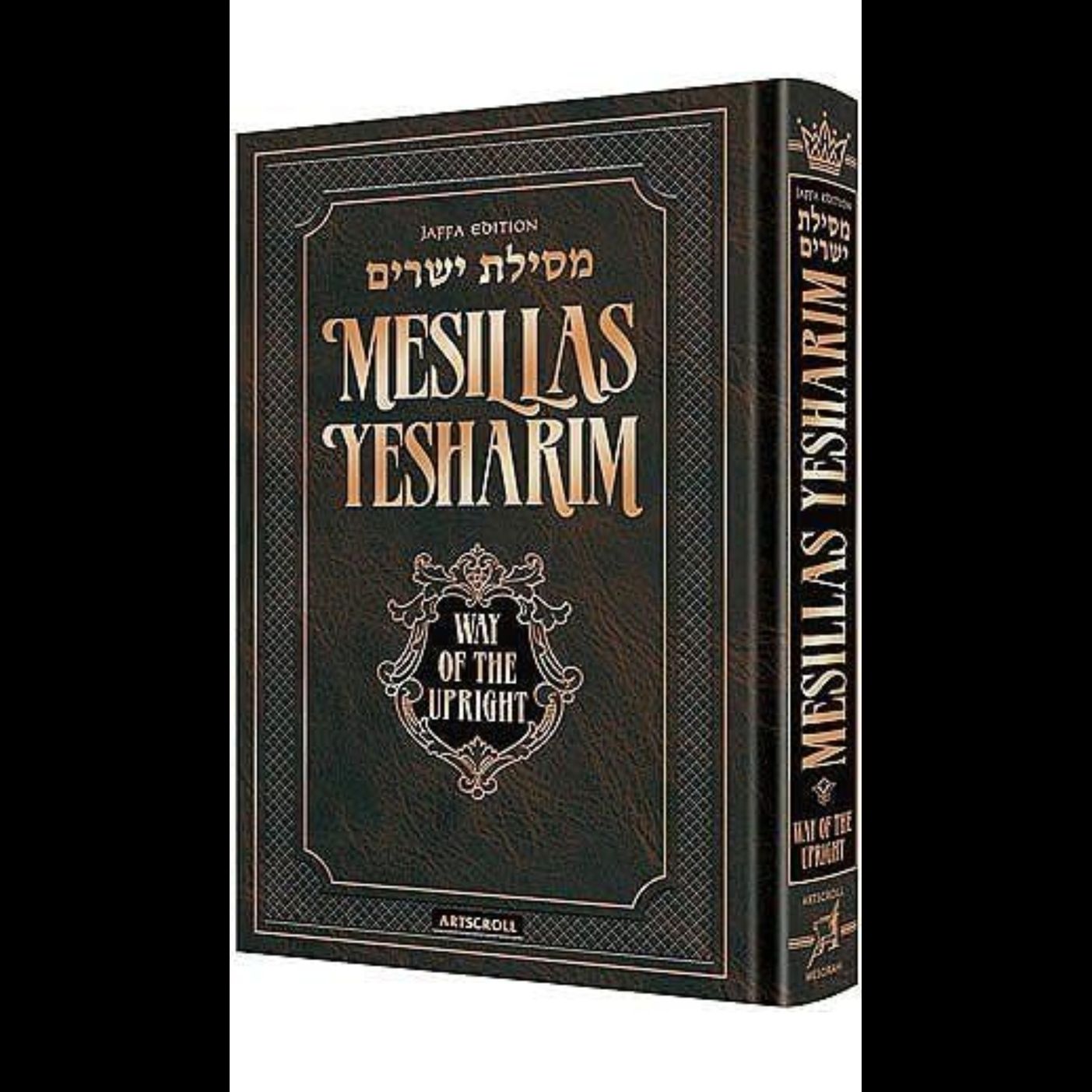 MESILAT YESHARIM Ch.24/ how to have a real relationship of respect with God? episode artwork