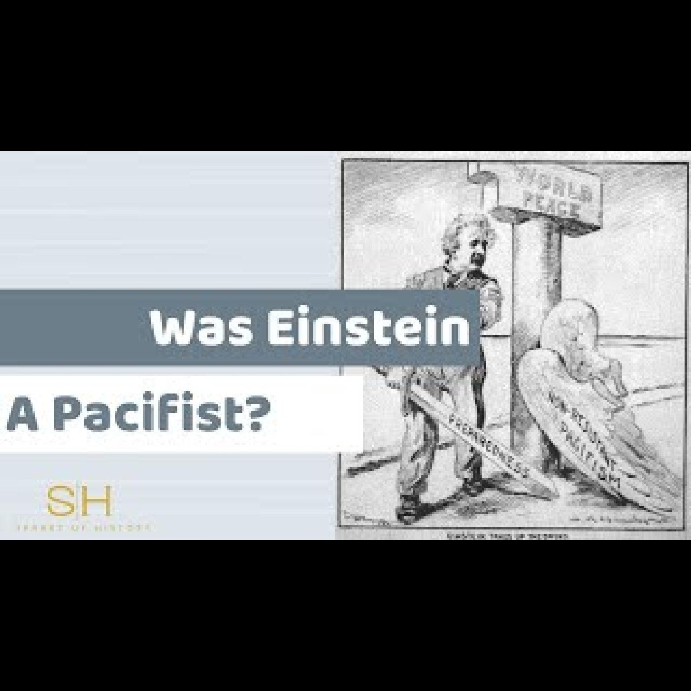 Albert Einstein #7- Was Einstein A Pacifist?