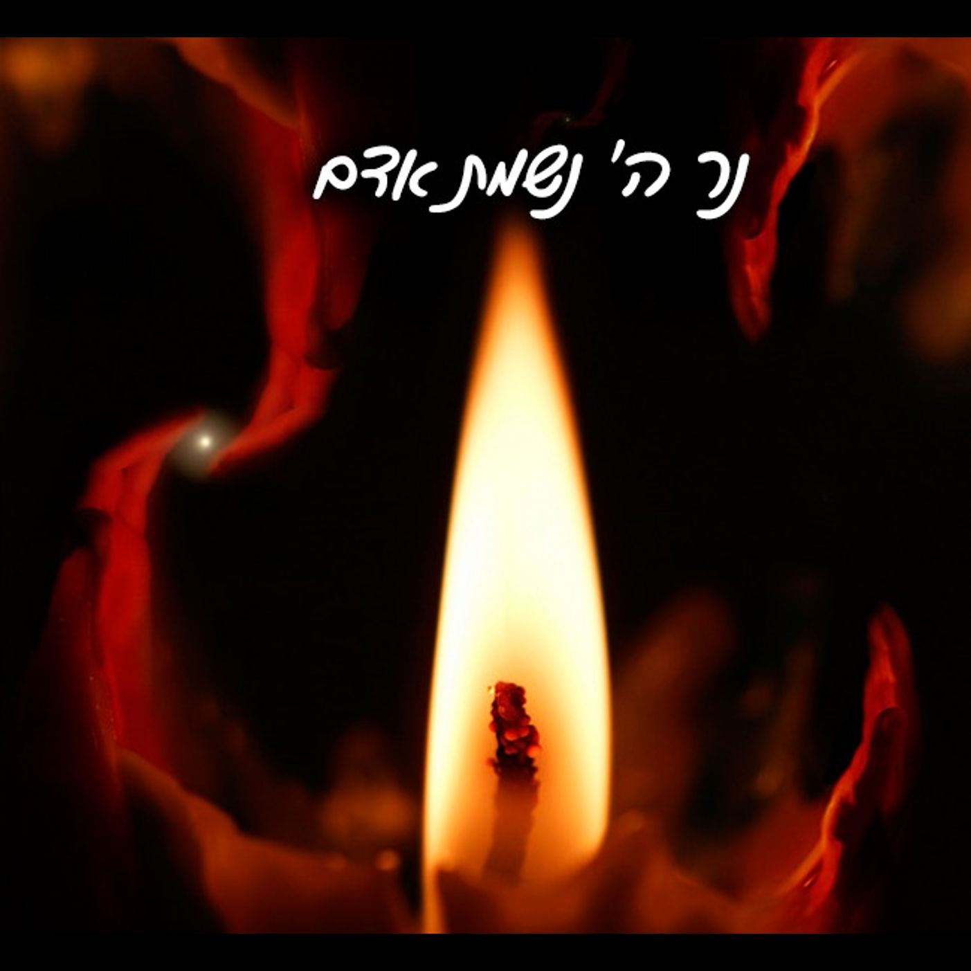 Tzav: Keep Your Flame Burning episode artwork
