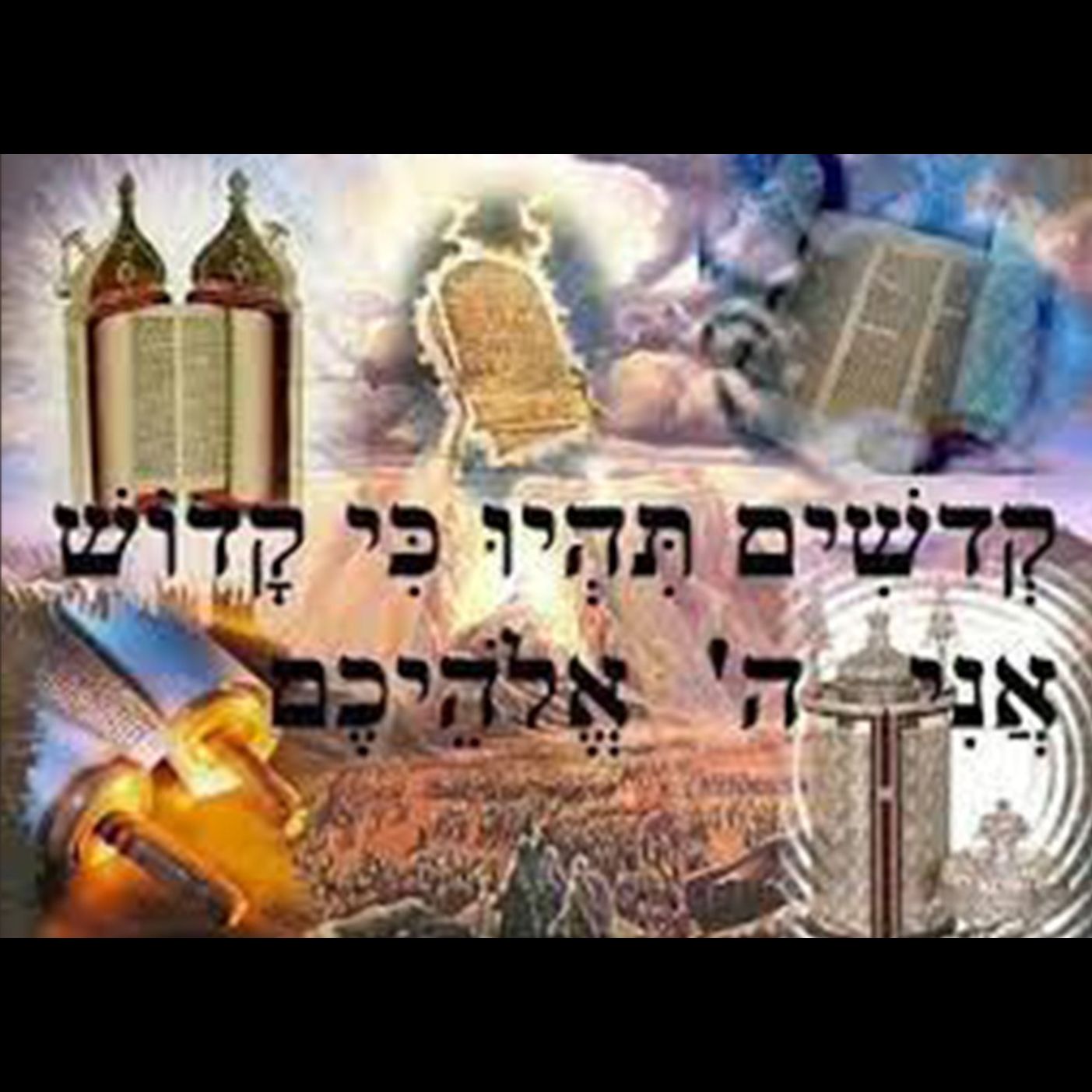 Kedoshim: Be Holy How episode artwork