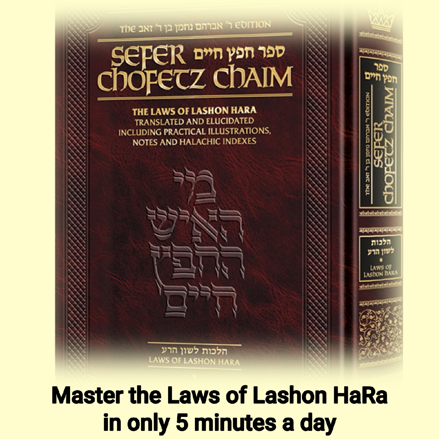 CHOFETZ CHAIM #106 'Klal 4u -- Doing Teshuva When You Spoke Lashon HaRa 