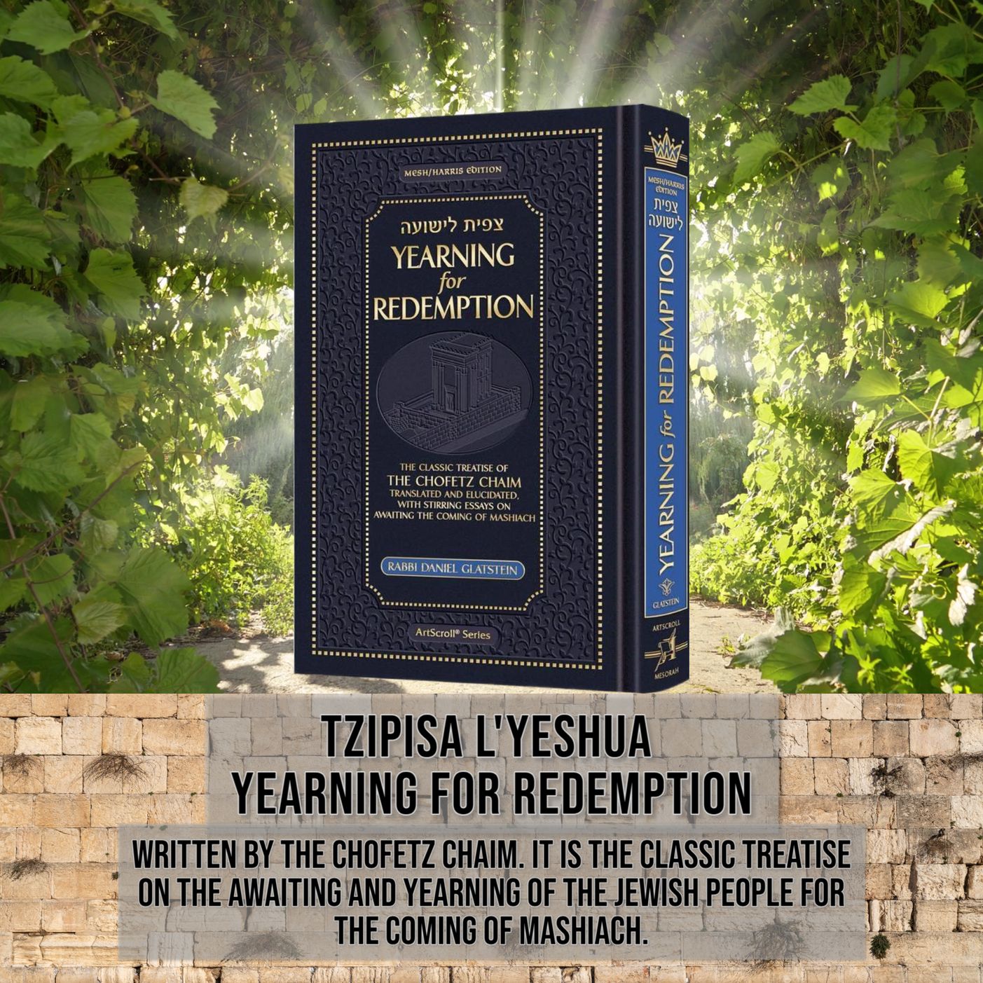 TZIPISA L'YESHUA #30 "Always on The Lookout for Mashiach"