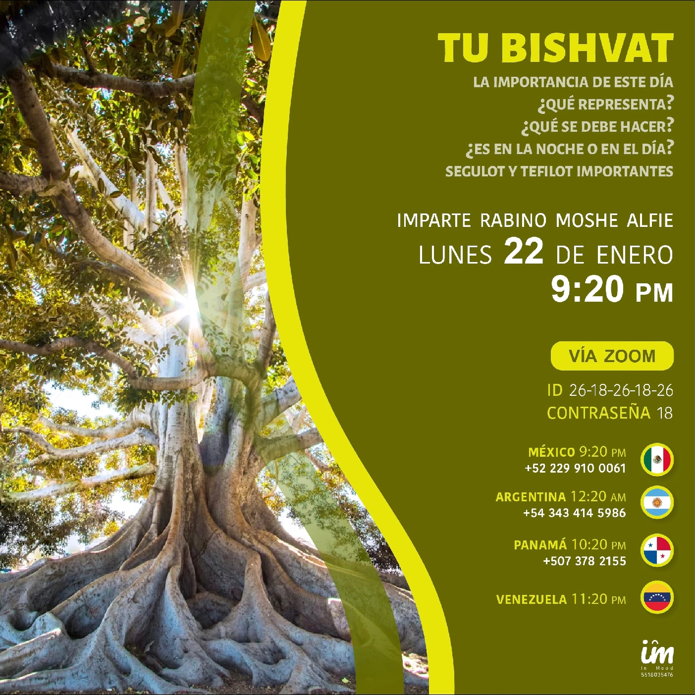 265 - Tú Bishvat - Importancia - El Hombre es el Árbol de la Vida - Sus Actos Los Frutos  episode artwork
