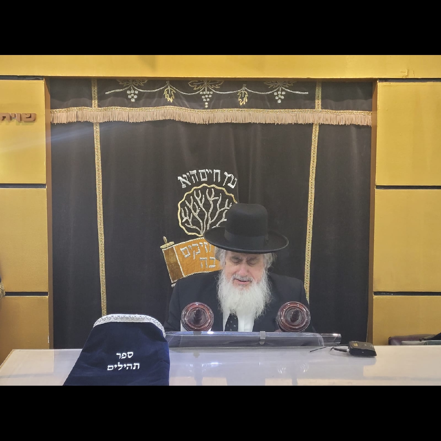 Tehillim for Refuah Shlema HaGaon HaRav Shmuel Kamenetsky episode artwork