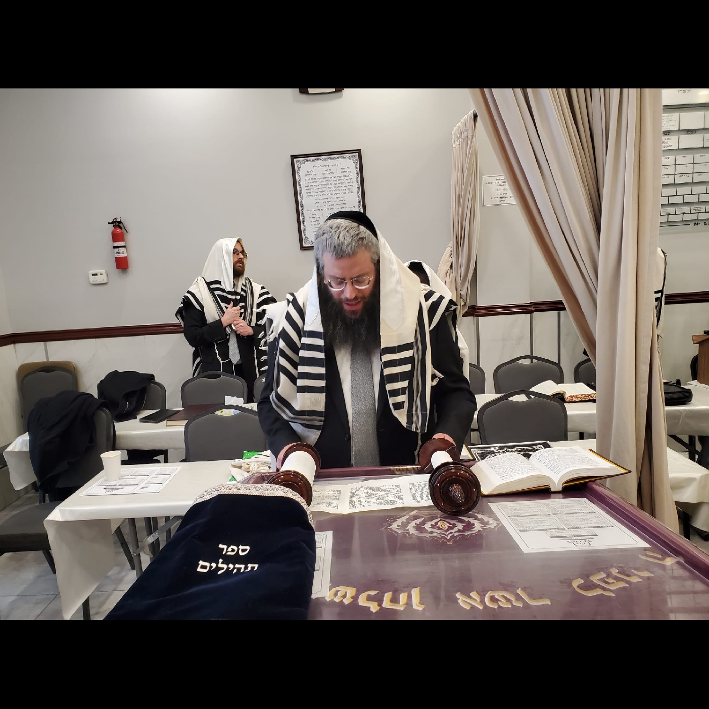 Rabbi Areah Leib Zell Leads Hallel with Tehillim on Klaf  episode artwork
