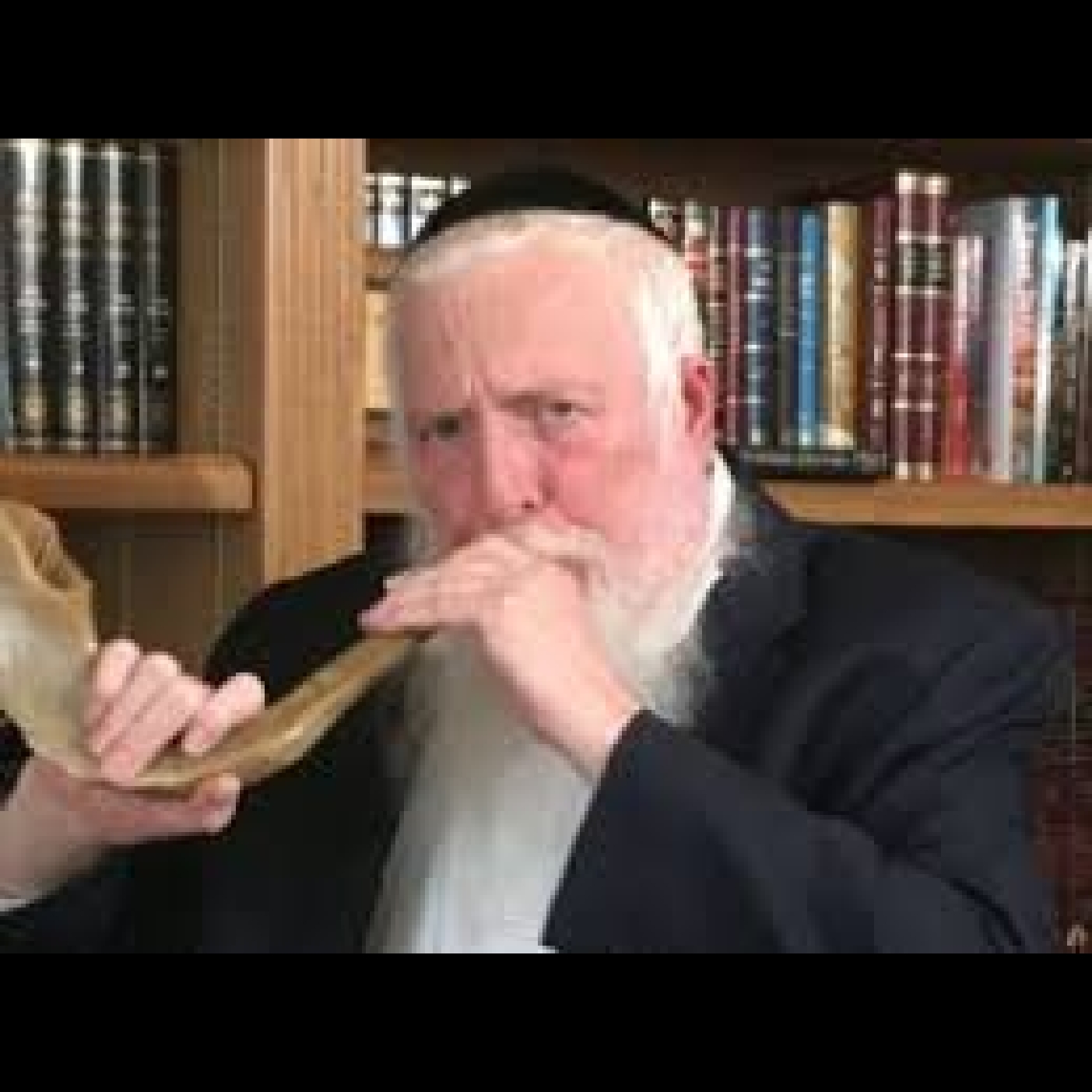 Rabbi Elchonon Lisbon, Balitmore  episode artwork