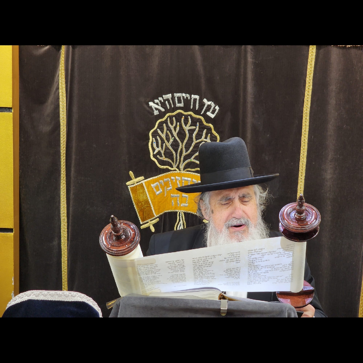 HaRav Eliezer Ginsburg topic: Tu Bav inspiration  episode artwork