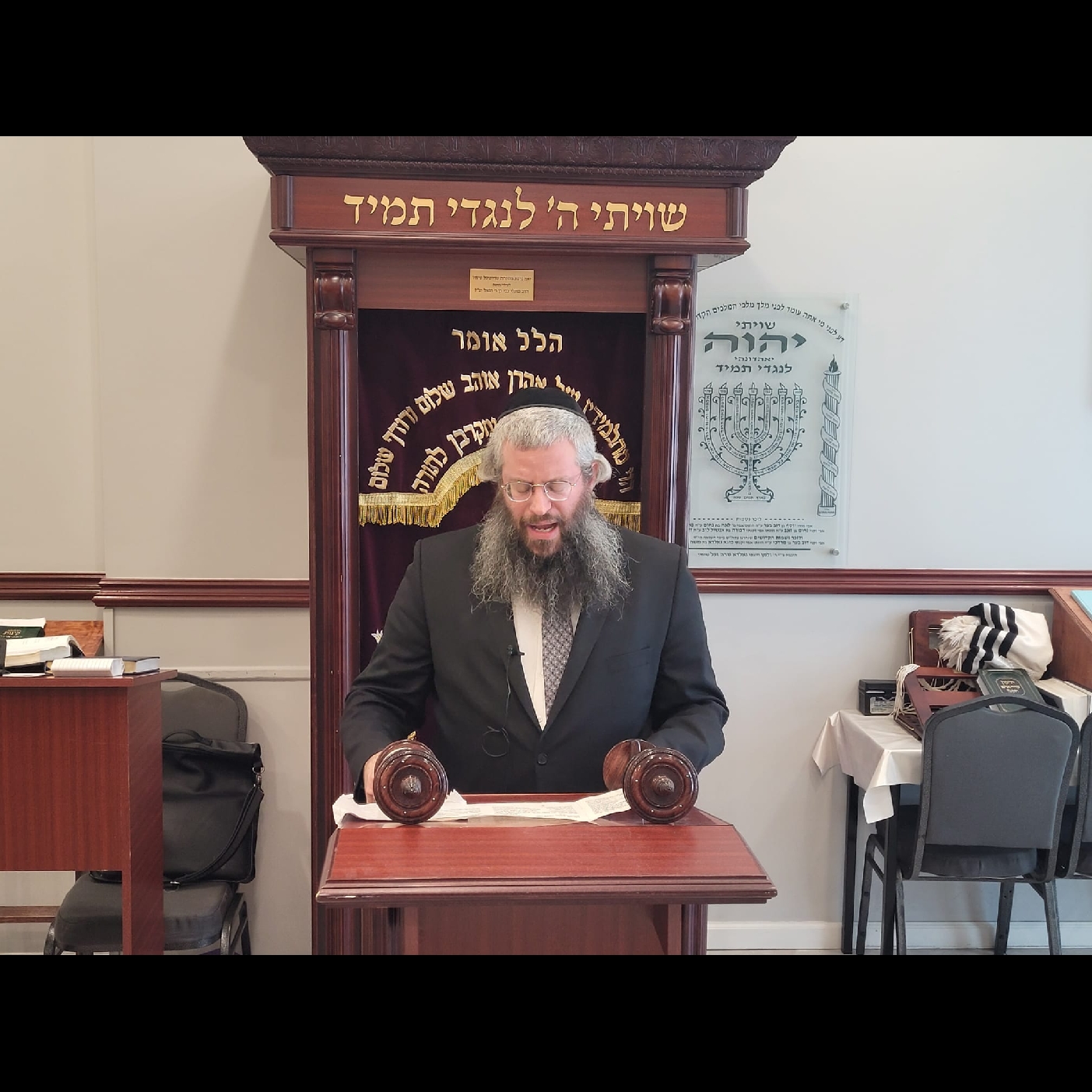 Rabbi Areah Leib Zell, Tu Bav Tehillim & Inspiration  episode artwork