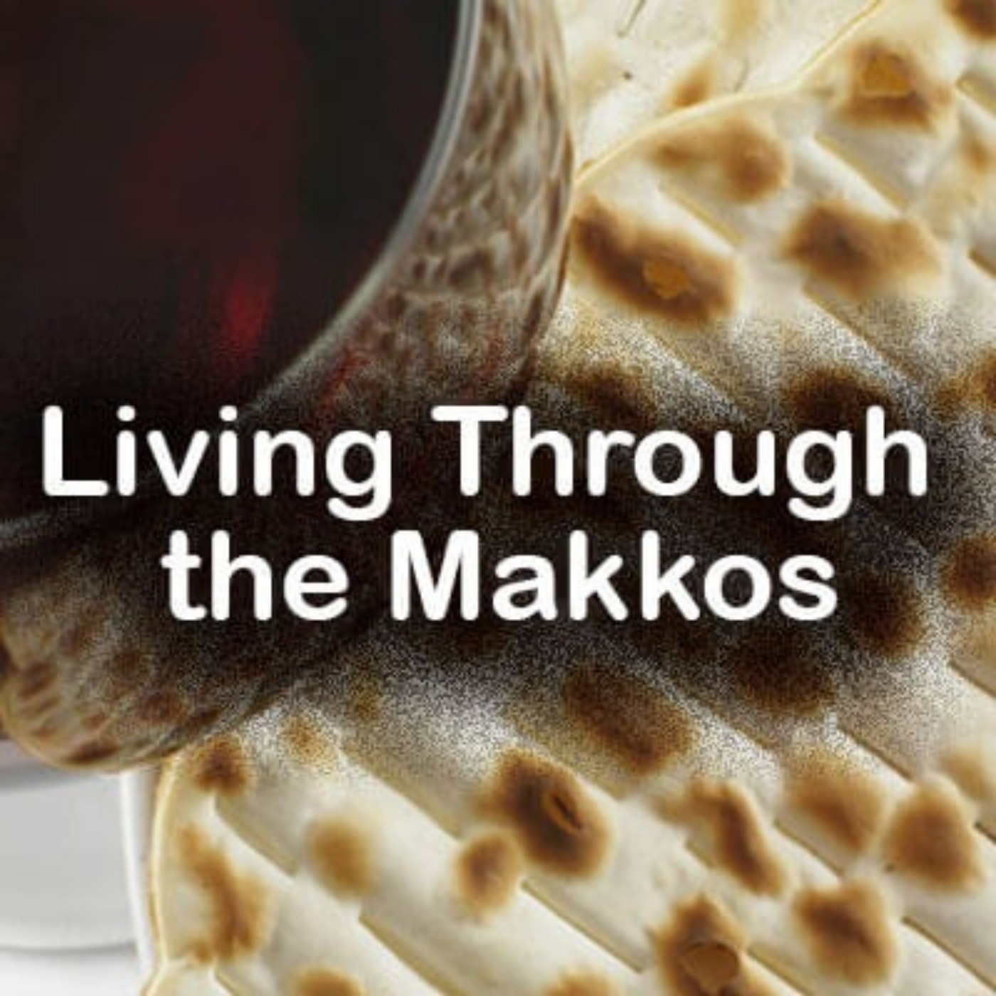 Pesach: Living Through the Makos 1