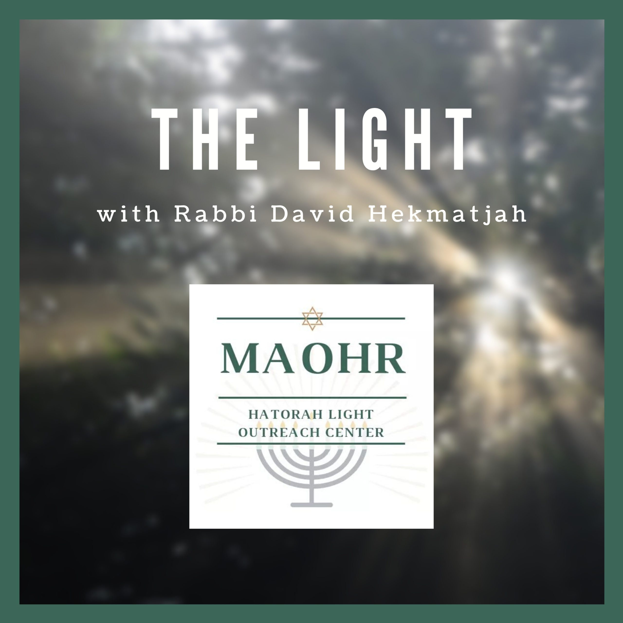 The Light by Rav Dovid Hekmatjah Braum