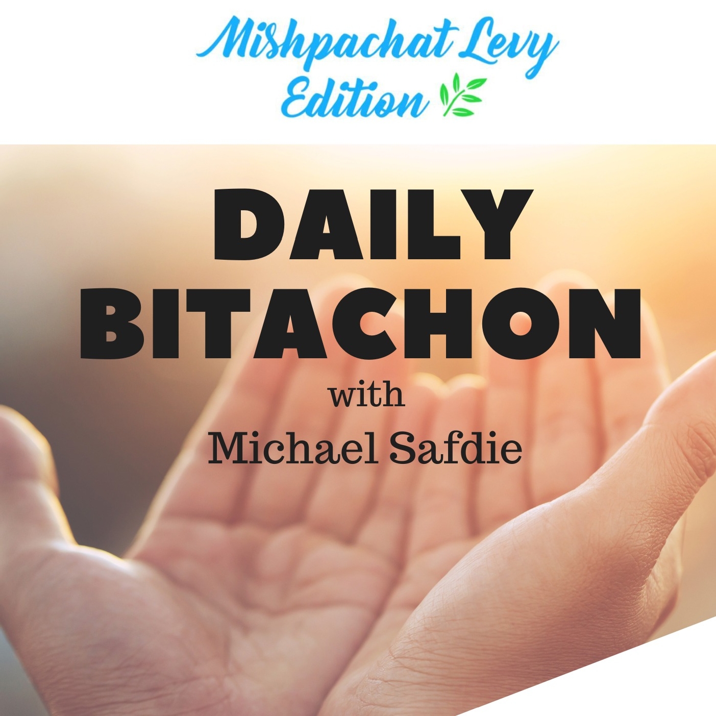 Logo of the podcast Daily Bitachon with Michael Safdie