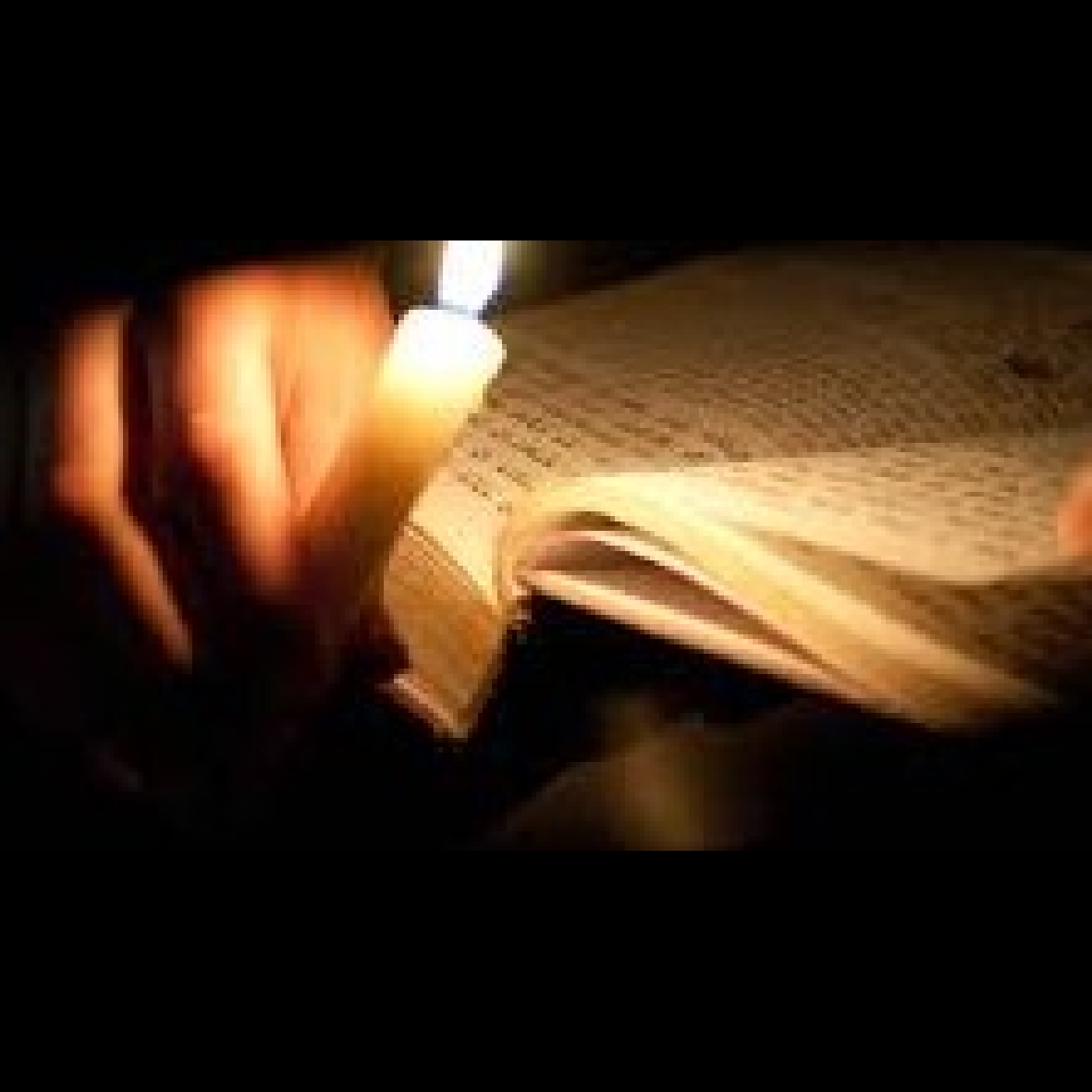 Instant Insight with Rabbi Y. Feigenbaum