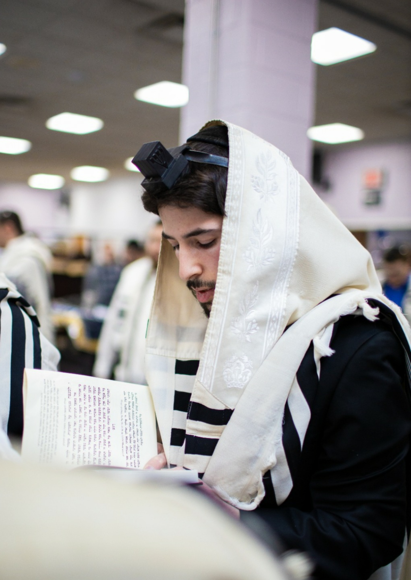 BTW - Ba'al Tefilah Workshop: Shabbos Shacharis - "Shochein Ad" through "Shema" 🤦🏻‍♂️ episode artwork