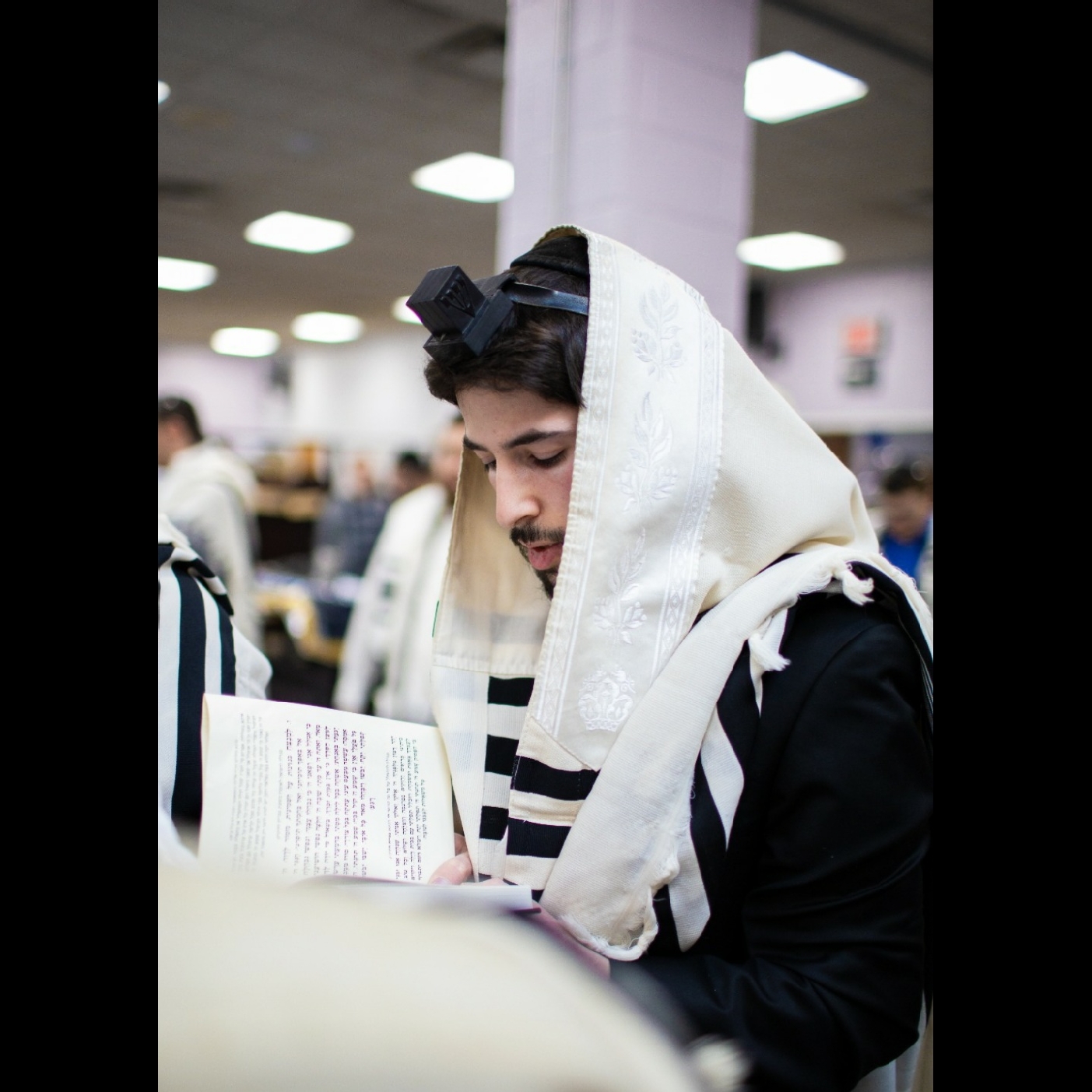 The DataBeis with Rabbi Yehoshua Eisenberg