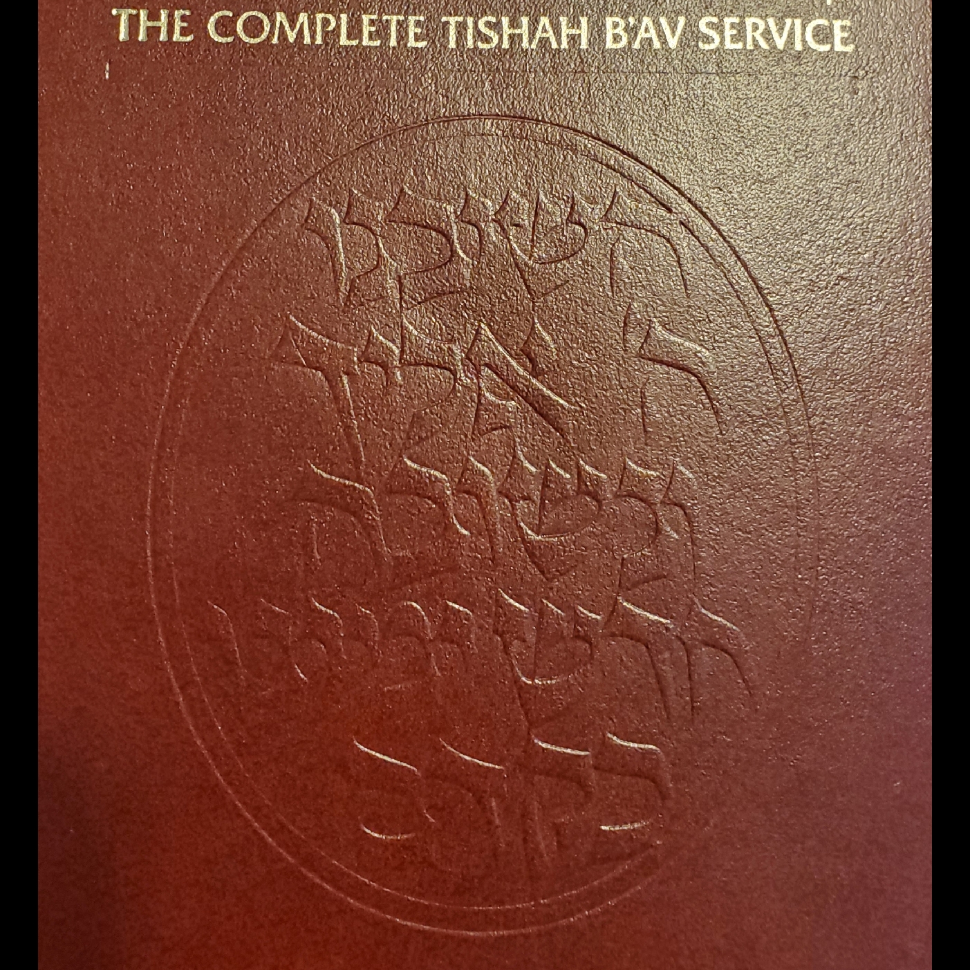 Mussar Minutes - Tish'ah B’Av/Devarim: Too Early for Teshuvah? 💔 episode artwork