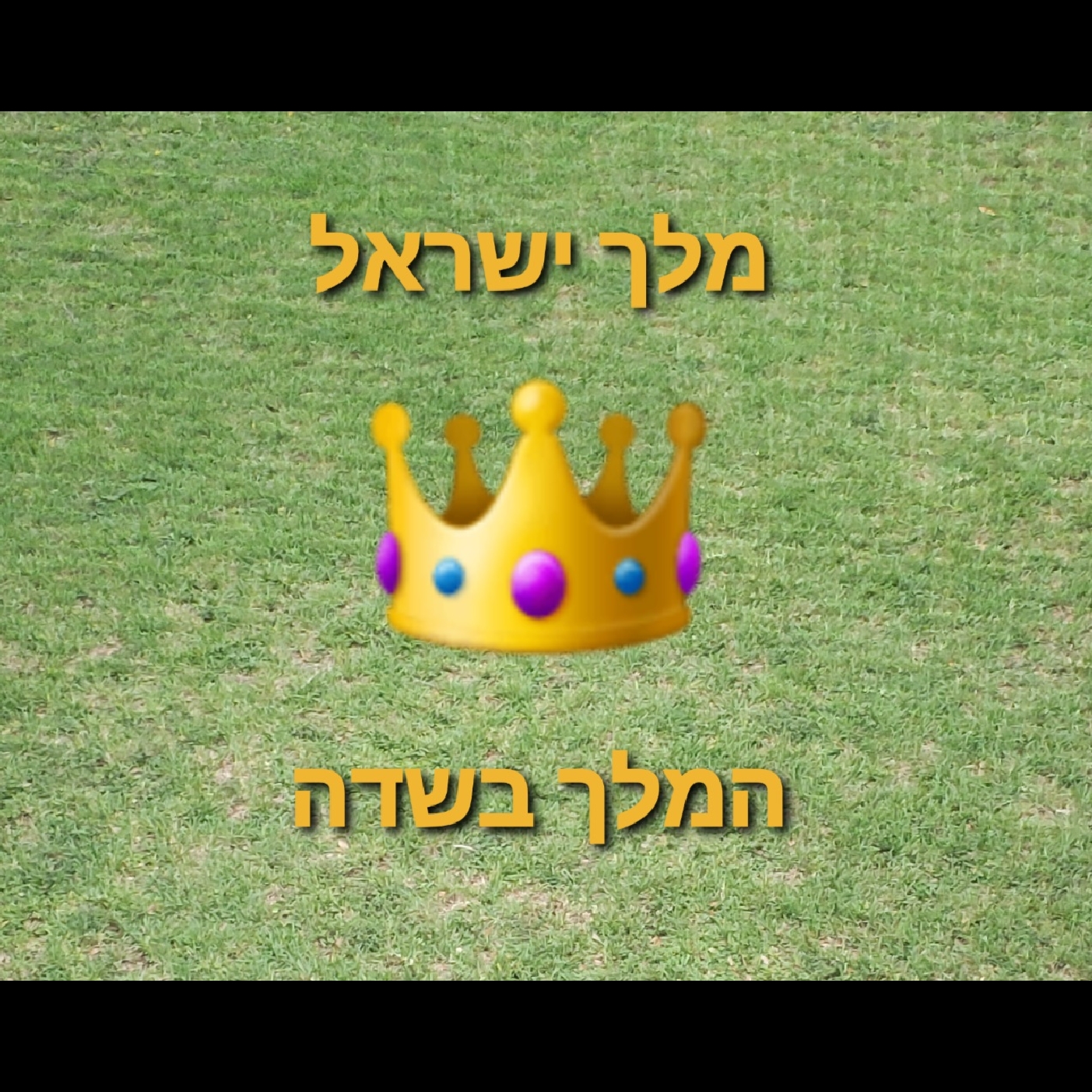 Mussar Minutes - Elul/Shoftim: The King of Israel 🤴🏼 & the King in the Field 👑  episode artwork