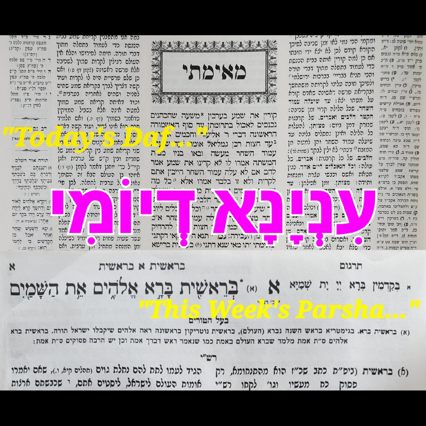 Inyana D'Yomi/עִנְיָנָא דְיוֹמִי - Chukas & Yevamos 116: The Red Cow & the Copper Snake 🐂🐍 (Eretz Yisrael/Early Edition!)