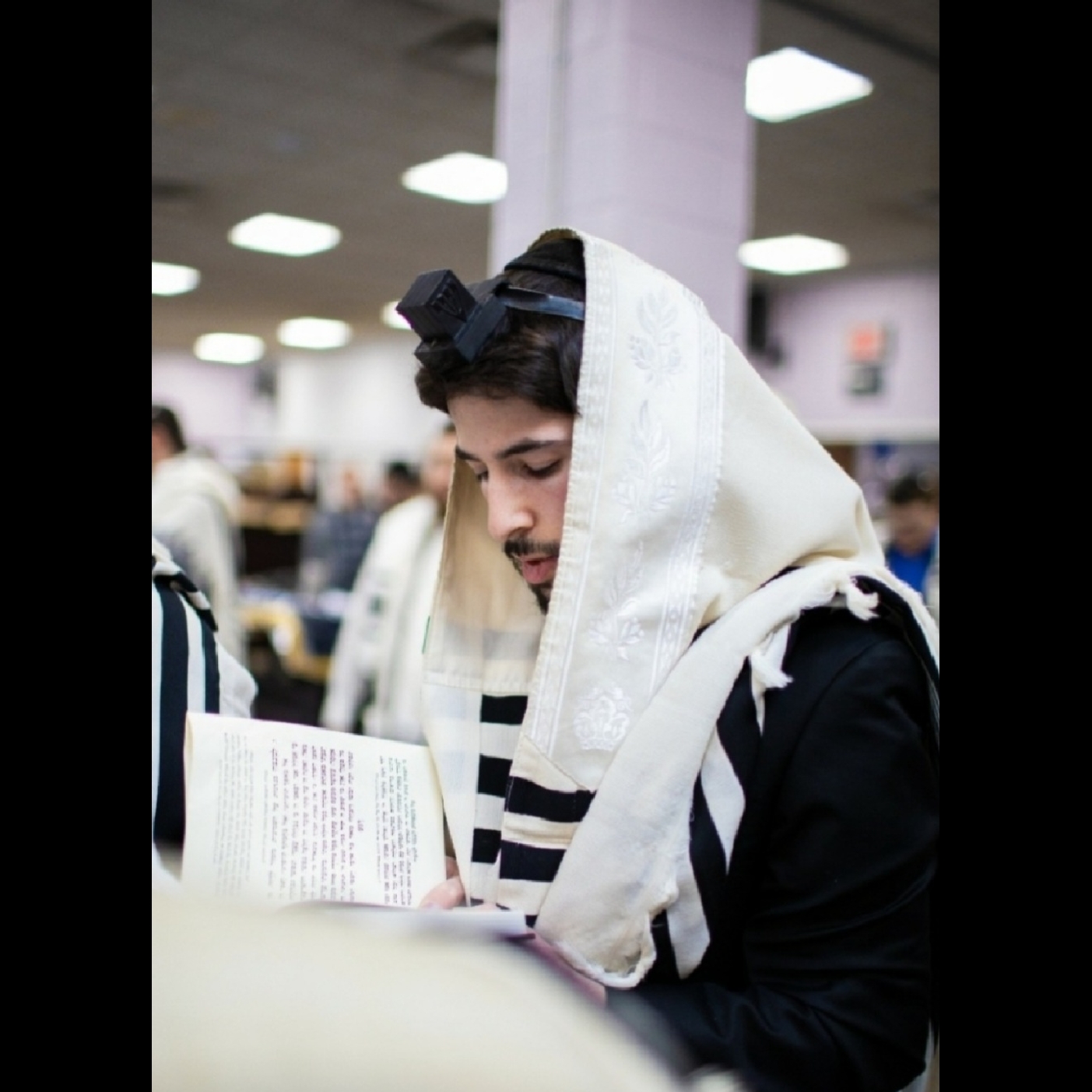 The DataBeis with Rabbi Yehoshua Eisenberg