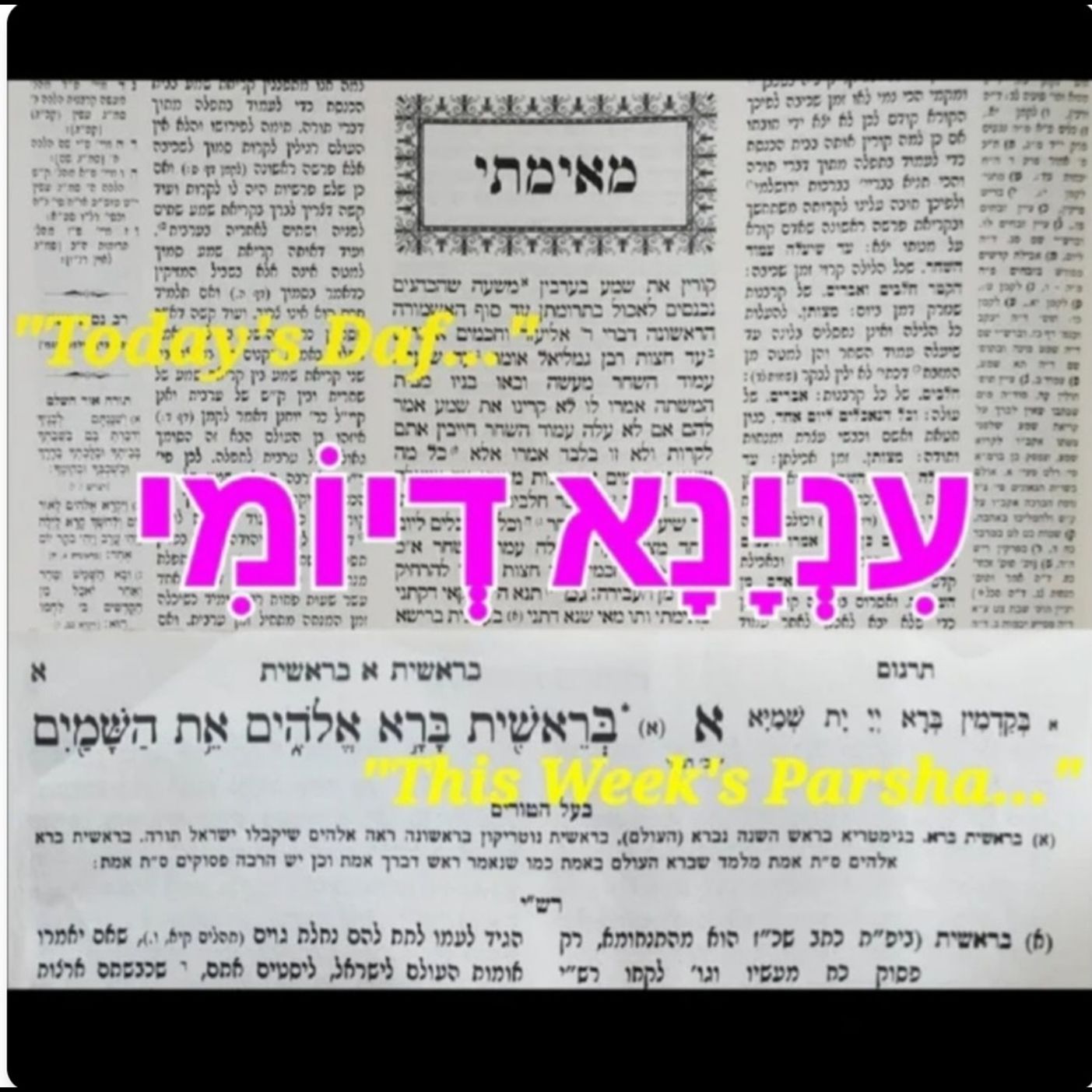 Inyana D'Yomi/עִנְיָנָא דְיוֹמִי - Chayei Sarah & Zevachim 62: "B'nei Keturah" (!!!) - Not the WORST Insult, but the PERFECT Insult! Inyana D'Yomi/עִנְיָנָא דְיוֹמִי - Chayei Sarah & Zevachim 62: "B'nei Keturah" (!!!) - Not the WORST Insult, but the PERFECT Insult!