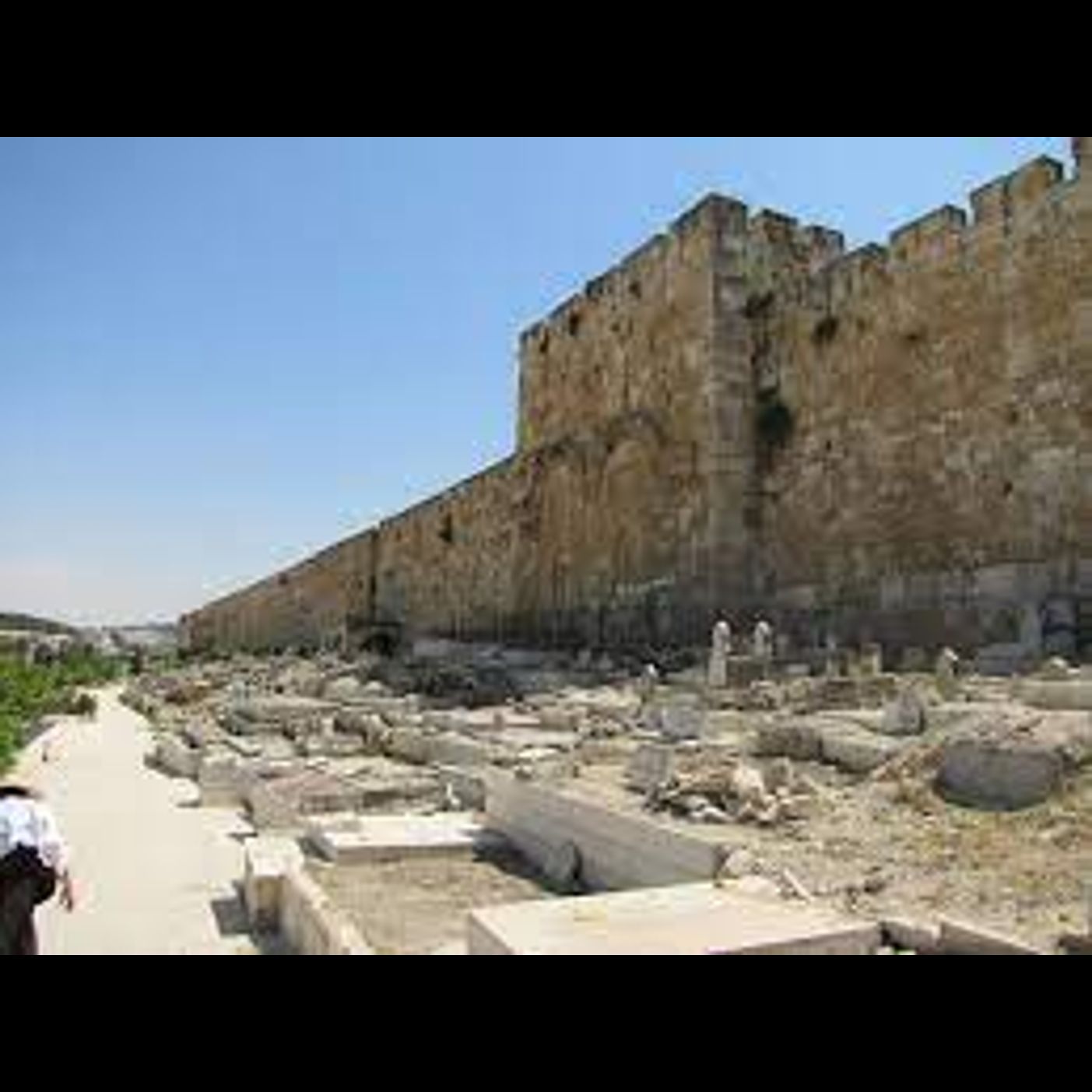 TO TORAH - Rabbi Steinhauers shiurim
