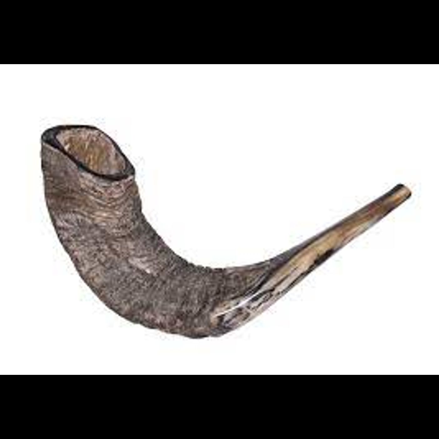 Machshava series: Rosh Hashana - the definition of din