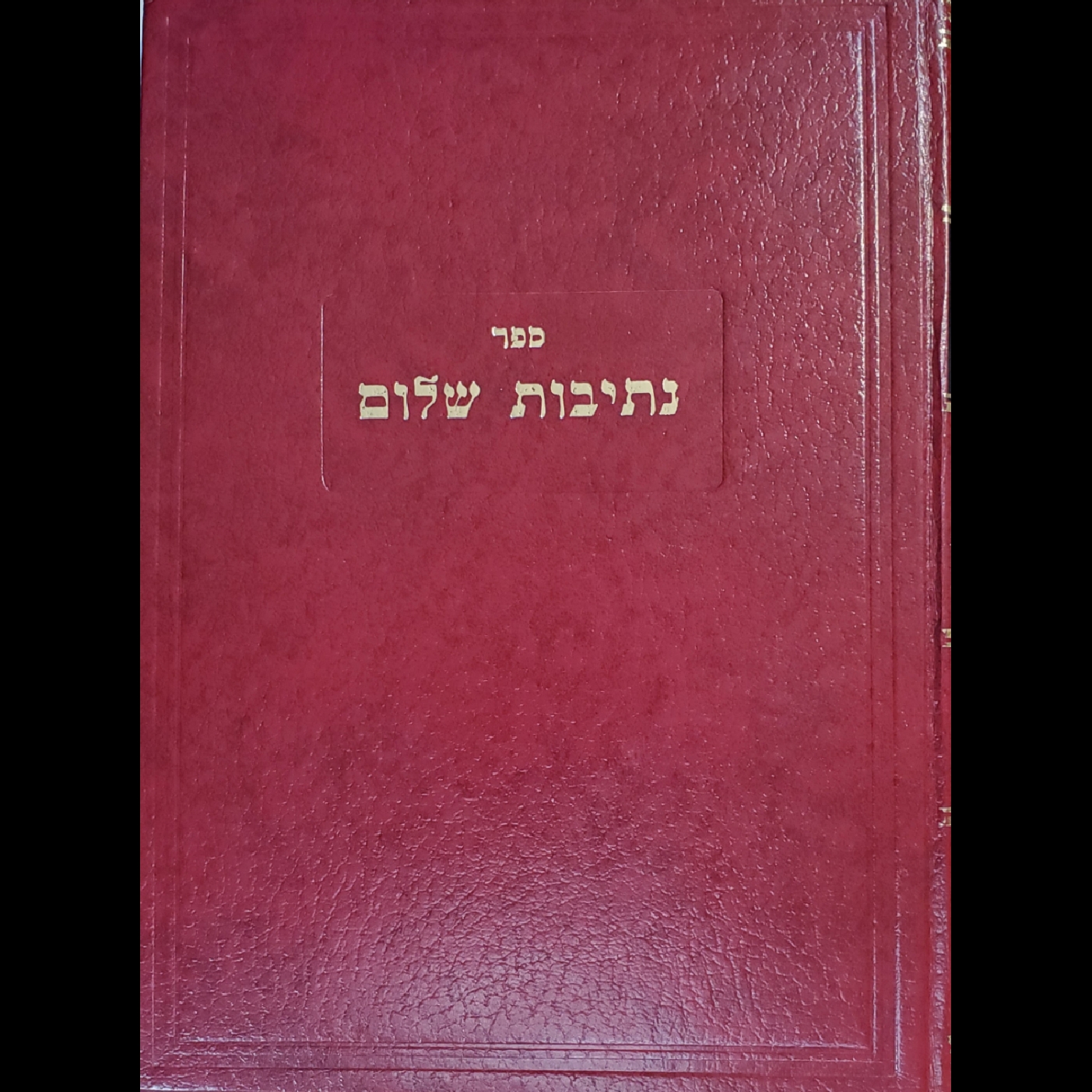  Nesivos Shalom: Pesach and Sefiras HaOmer episode artwork