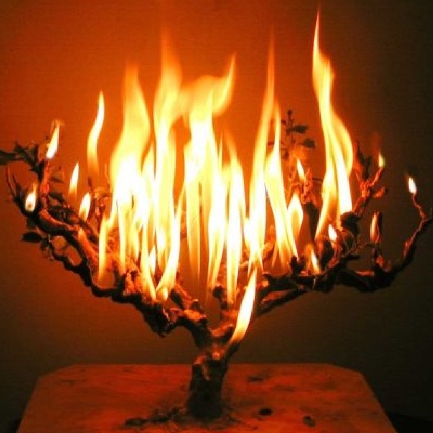 Rischa D'Araisa-Season 6-Episode 18-Three Strikes and We're all Out-The Halachic and Ethical Considerations of Walking Out on Essential Jobs