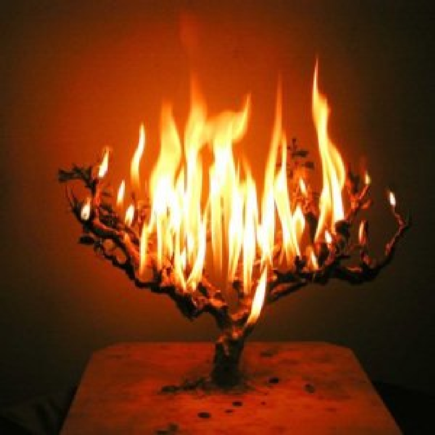 Rischa D'Araisa-Season 8-Episode 17-Ugly Insulation-Trying to Comprehend Rav Dov Landau's Refusal to Allow Bnei Torah to Visit the Wounded and Attend the Funerals for the Fallen