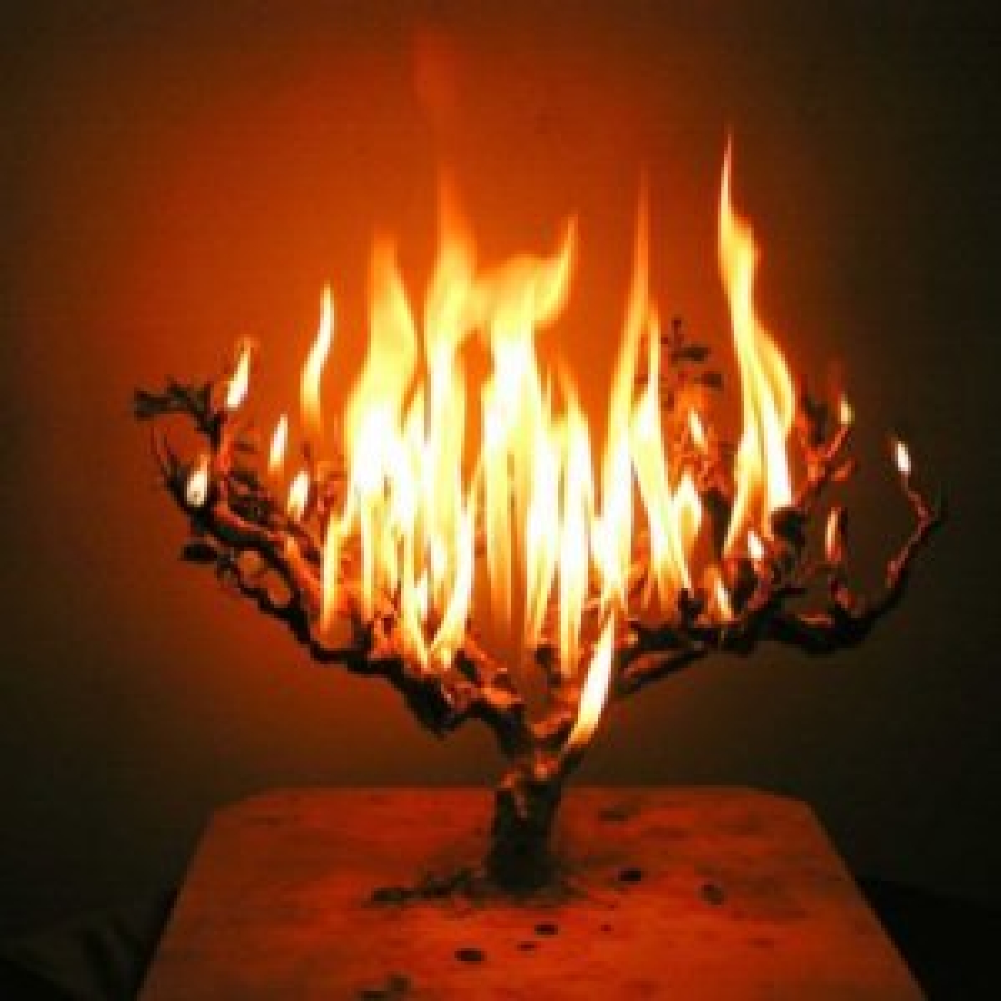 Yeshiva of Newark Podcast