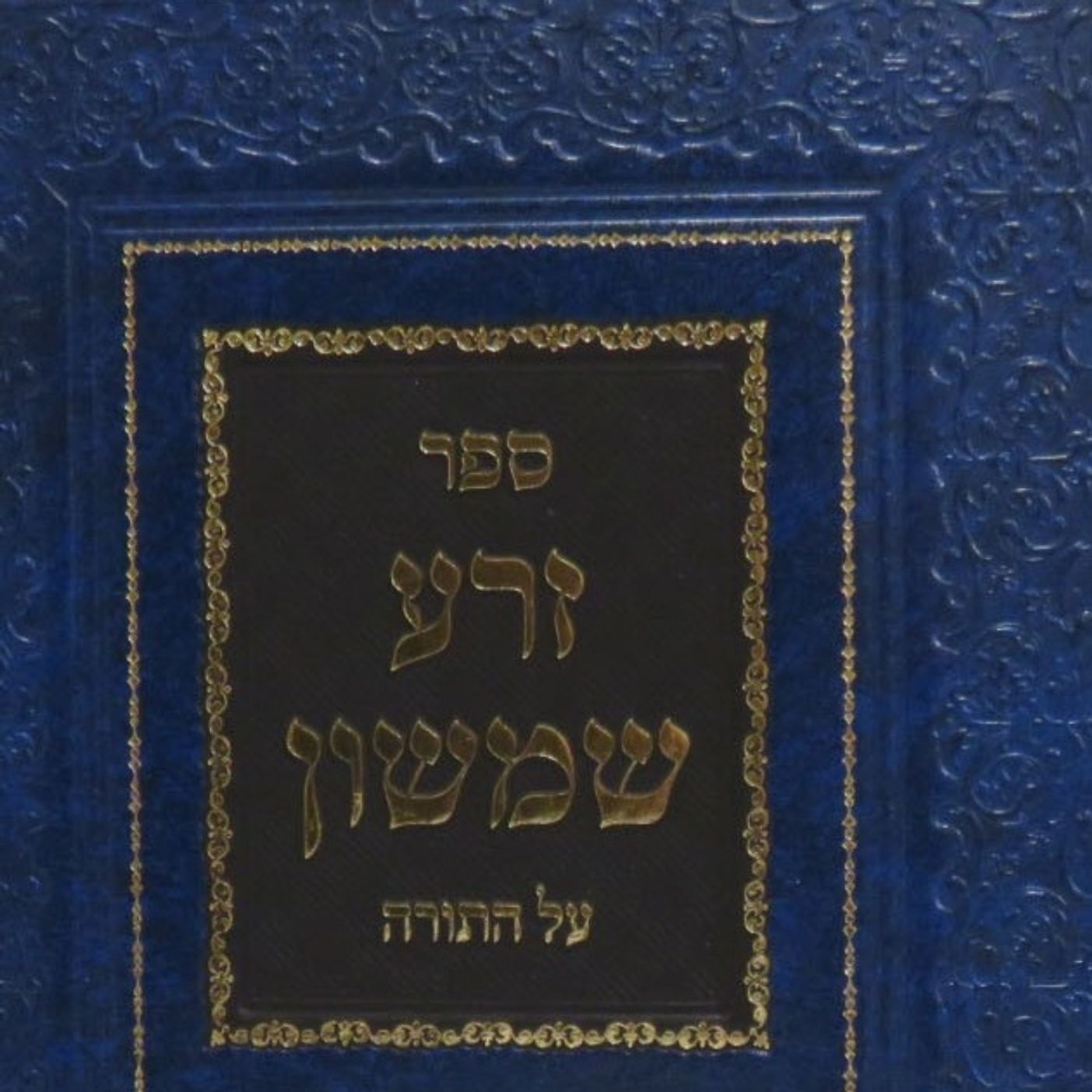 Shmini-Separations Now- Unification in the Future-The Zera Shimshon- explained by Rav Kalman Worch