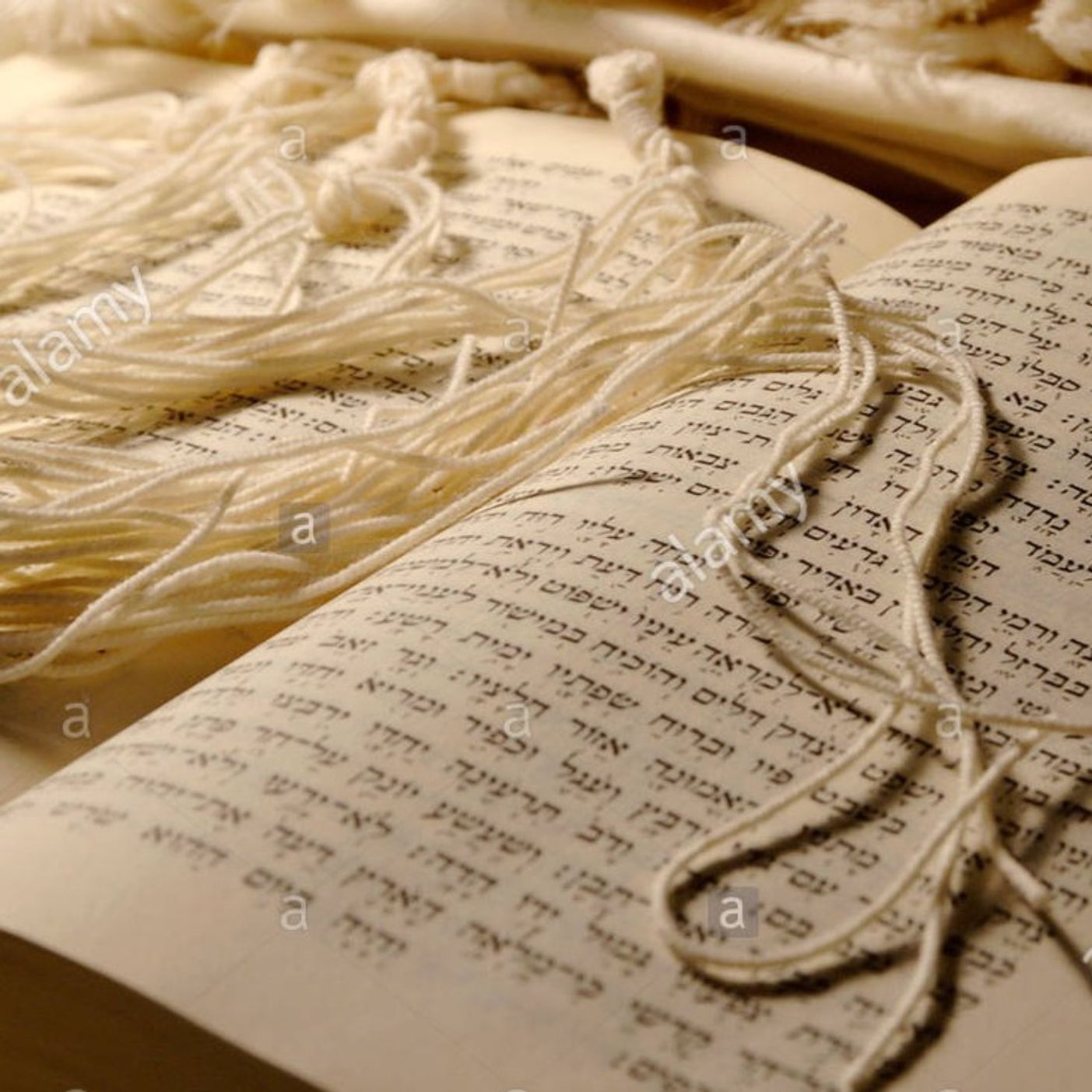 The Alshich on the Parsha-Shelach-Redemption from Sin through Tzitzis with Rav Kalman Worch