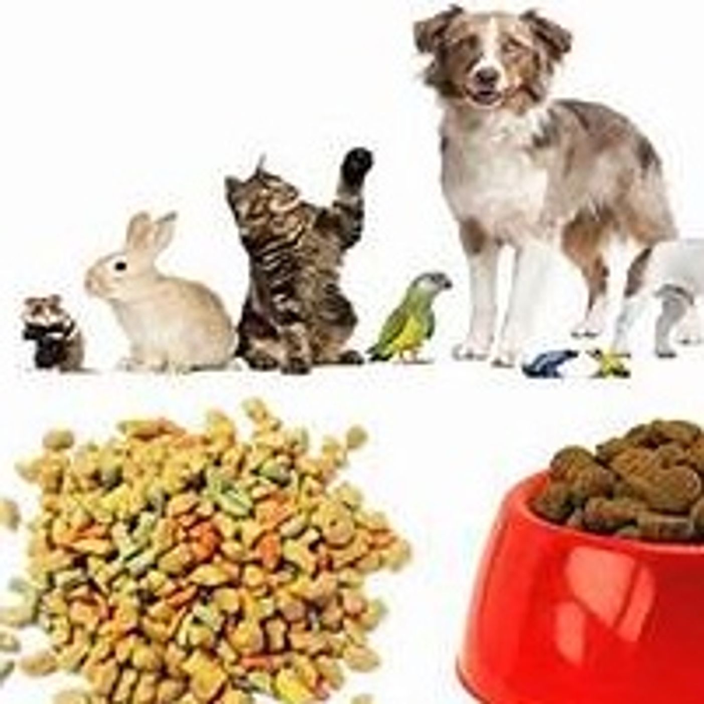 Mosar Adam Min HaBehemah- Pet Food Production Has Life Lessons For Us All with food scientist Efrayim Shachter