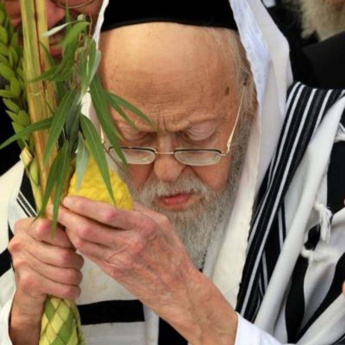 Birchas Lulav in the Sukkah or in Shul?-Taking the Daled Minim on Shabbas even outside of Yerushalayim