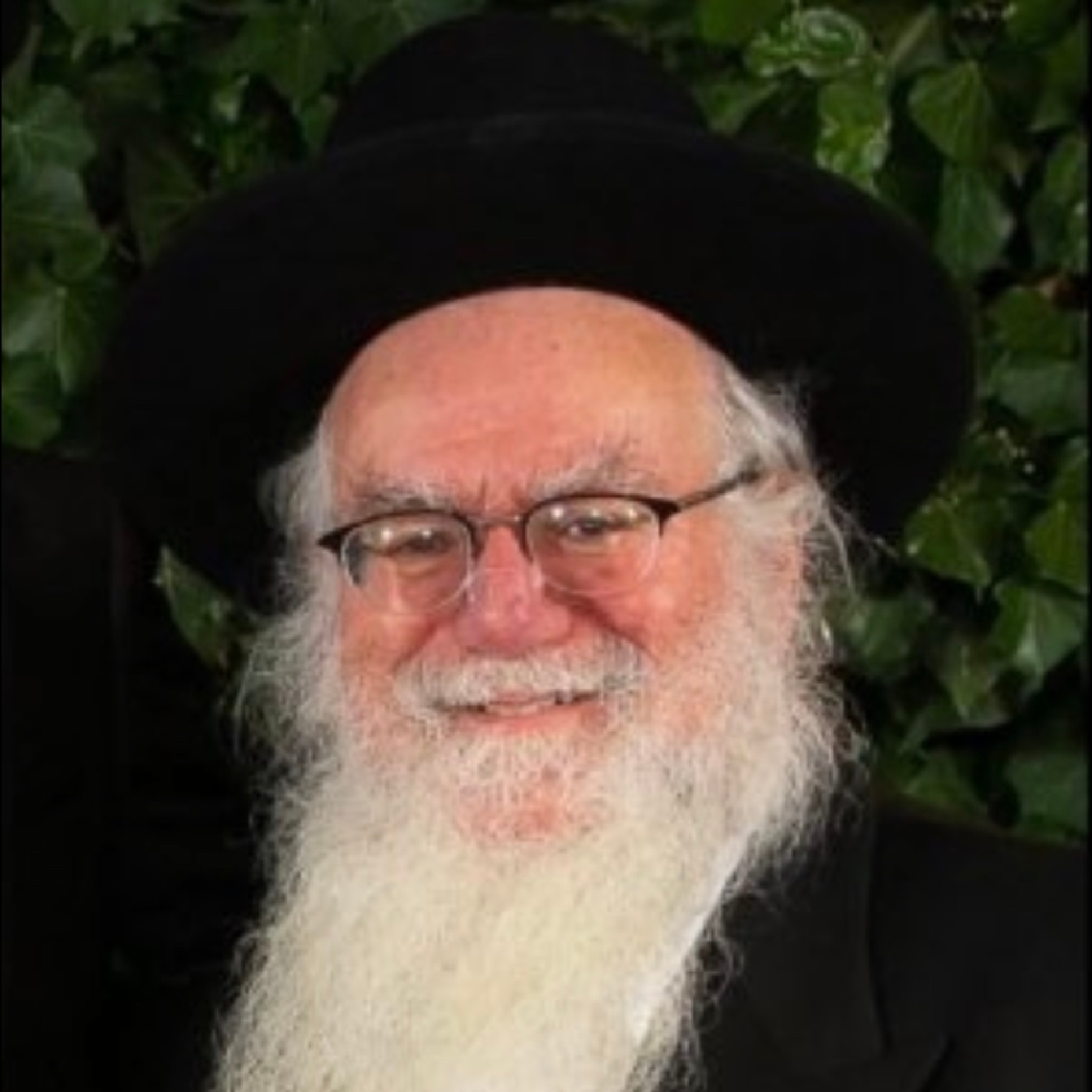 Save me from my brother, Save me from Eisav! וישלח      Rabbi Felman episode artwork