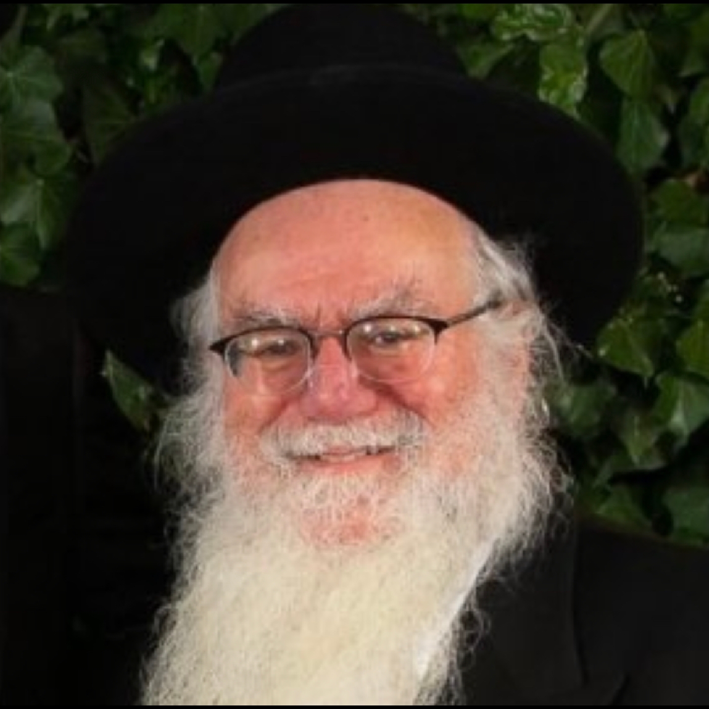 אנכי יתרו  Rabbi Felman episode artwork